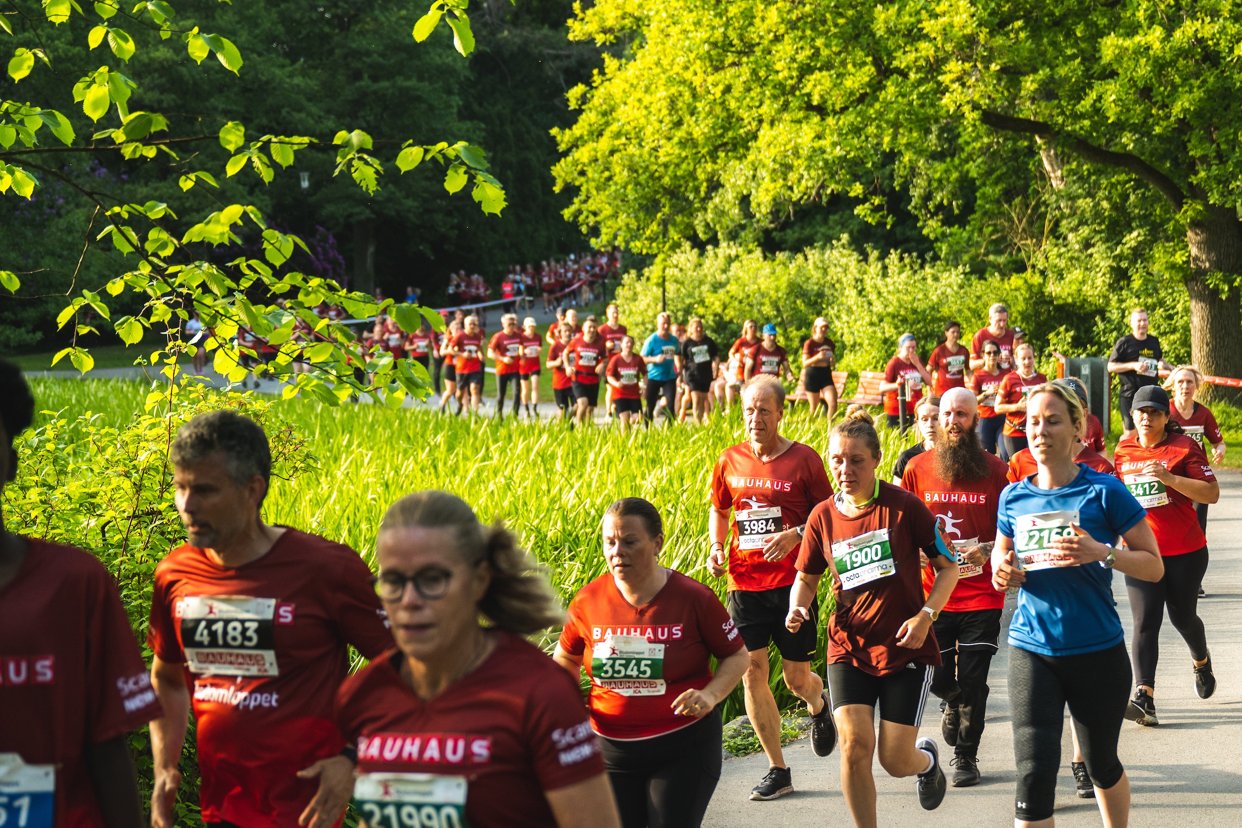 Medeon 2 lag i årets Blodomloppet