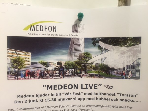 Medeon Live Varfest 2016 (1)